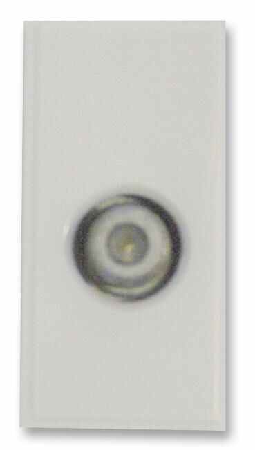 TRIAX Single F Type Euro Module Connector, White