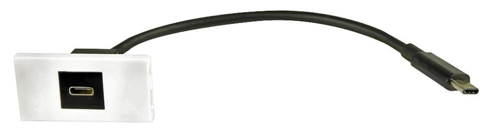 AV:LINK מודול שקע USB-C ללוח קיר, 50x25 מ״מ
