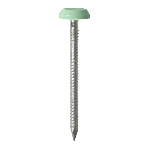 Timco Polymer Headed Nails - A4 Stainless Steel, Chartwell Green, 65mm (100pk)