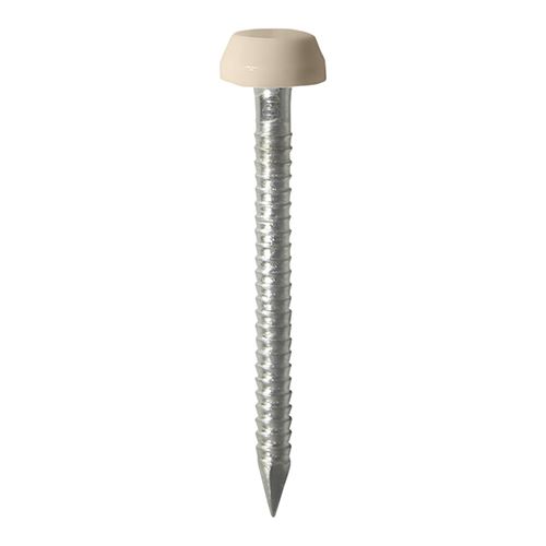 Timco - Paku Berkepala Polimer - Keluli Tahan Karat A4 - Beige (Saiz 25mm - 250