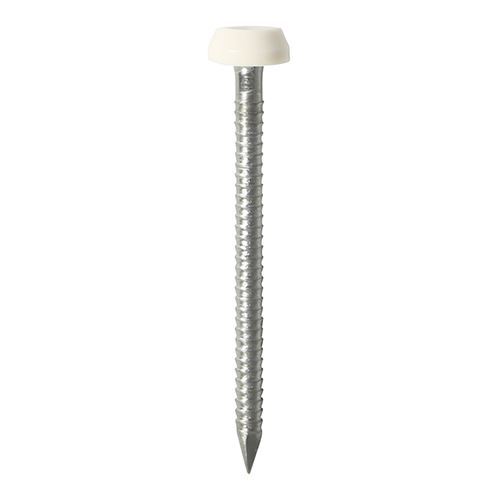 Timco - Clous à tête polymère, Acier inoxydable A4, Blanc, 25mm (Lot de 250)