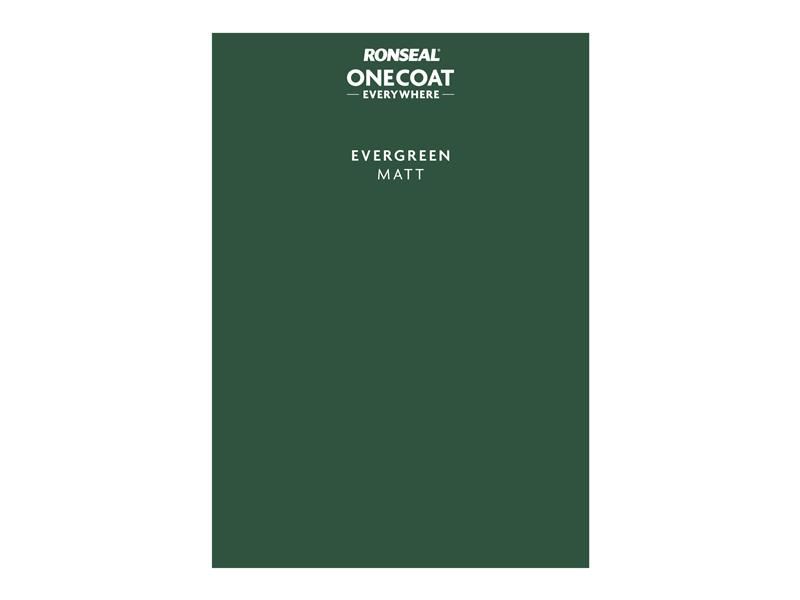 Ronseal Peel & Stick Farbschwamm Überall, Evergreen