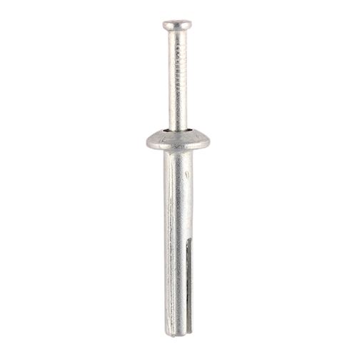 Timco - Anchóirí n-Nail, Sinc, 6.0 x 40mm, 100pc