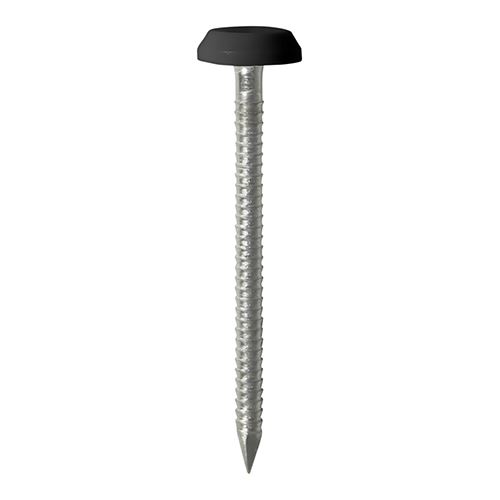 Timco Polymer Kopnagels - A4 Roestvrij Staal - Zwart (65mm, 100stuks)