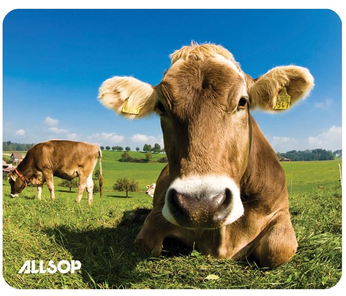 ALLSOP Tappetino per Mouse Design Mucche nel Campo