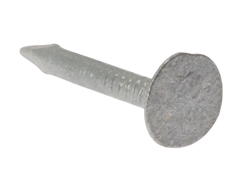 ForgeFix Clout Nails - Extra Large Head, Galvanised, 30mm (2.5kg Bag)