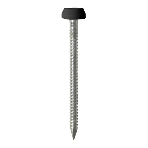 Timco Polymer Headed Pins - Stainless Steel, Black, 30mm (60 Pack)