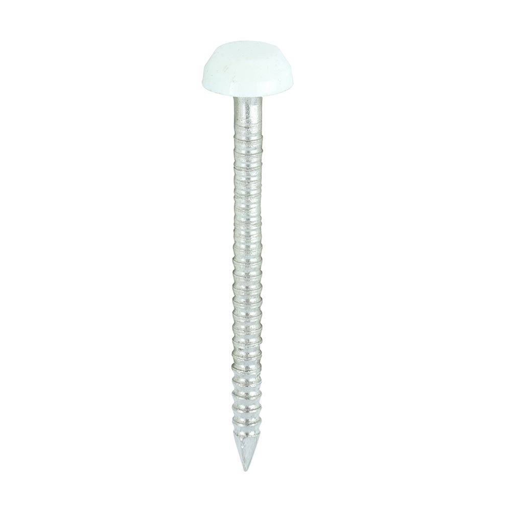 Timco Pines con Cabeza de Polímero, Acero Inoxidable A4, Blanco, 30mm (250 uds)