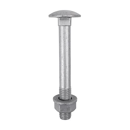 Timco Parafusos Carretão M6 x 40mm com Porcas Hexagonais e Arruelas - Prateado