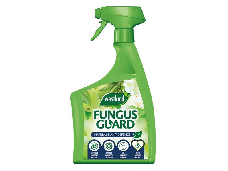 Westland Fungus Guard 800ml - Control Powdery Mildew & Enhance Immunity