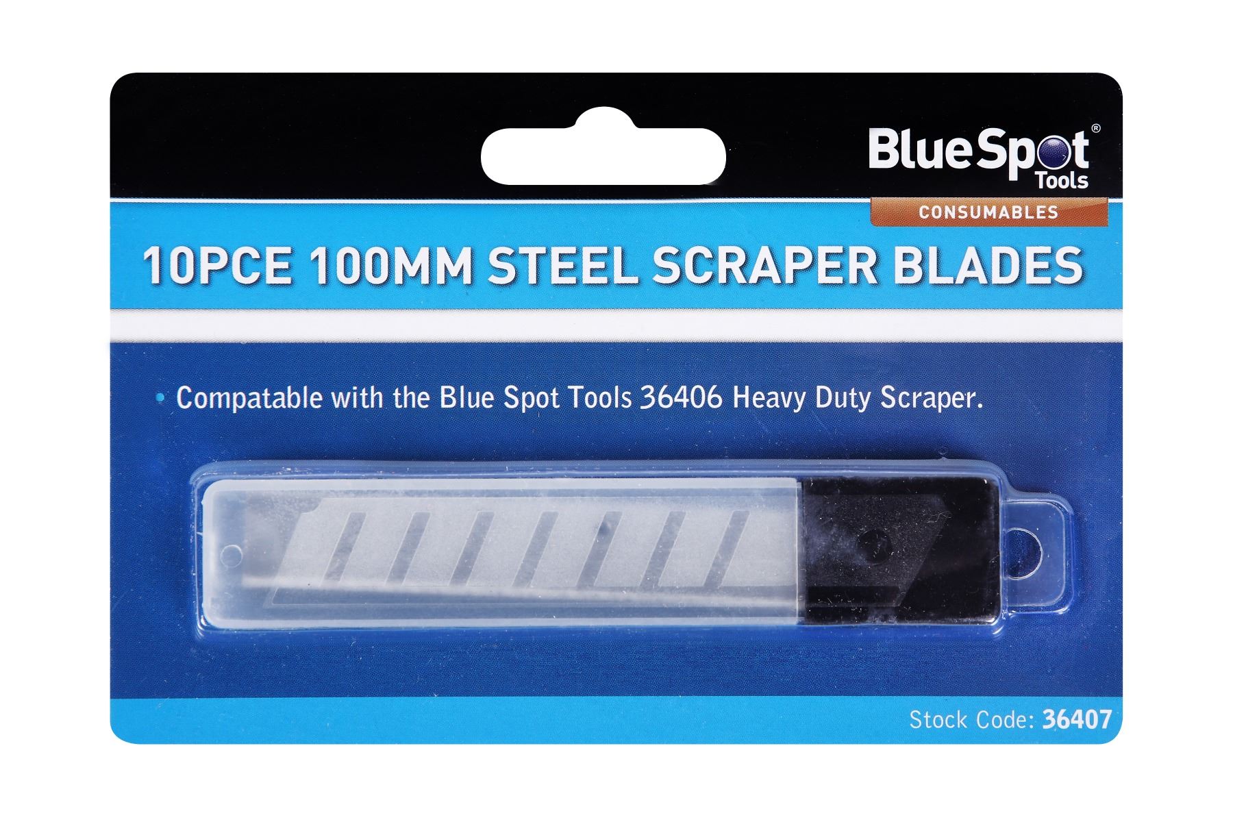 Blue Spot Tools - 10 Píosa Scráibín 100mm Déanamh Tréan