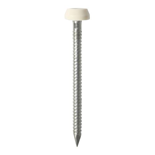Timco Polymer Headed Pins, A4 Stainless Steel, Cream, 40mm (250pcs)