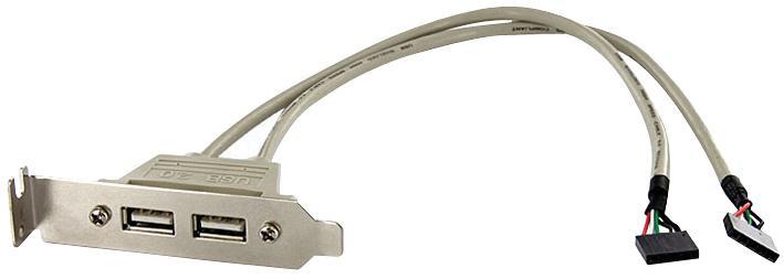 STARTECH - 2端口USB 2.0 A型擴展槽板轉接器