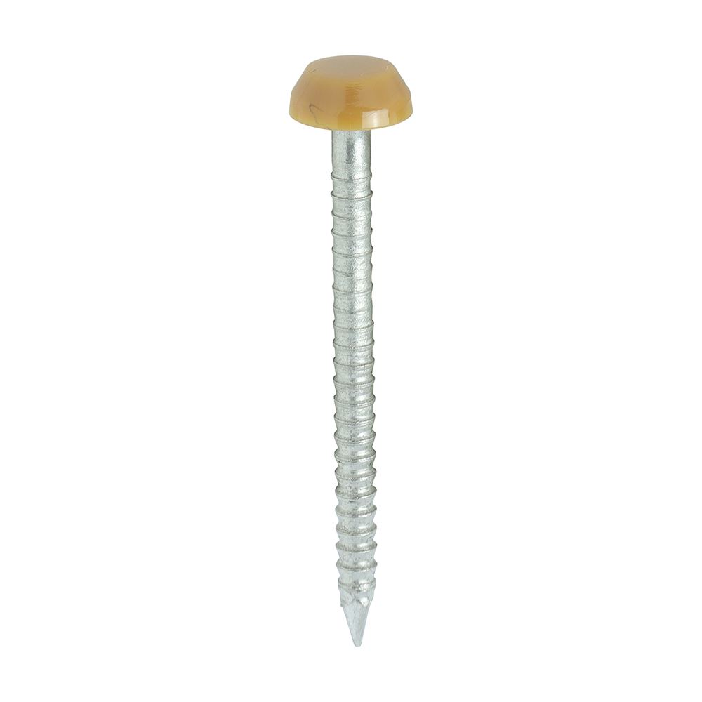 Timco Pernos con Cabeza de Polímero, Acero Inoxidable A4, Roble, 30mm (250 Unid