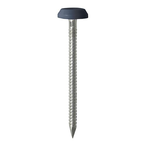 Timco A4 Stainless Steel Polymer Headed Nails, 50mm, Anthracite Grey, 100pcs