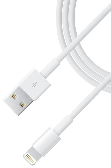 Apple Lightning vers câble USB, 2 m (Pack en vrac)