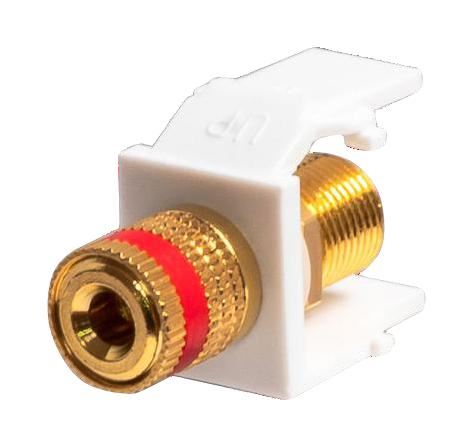 TUK Conector de Altavoz de Latón Dorado, Blanco