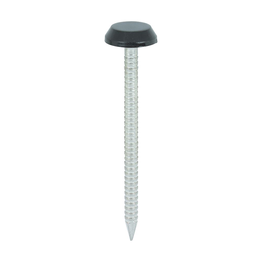 Timco A4 Roestvrijstalen Polymeren Kopspijkers (50mm, 100 stuks)