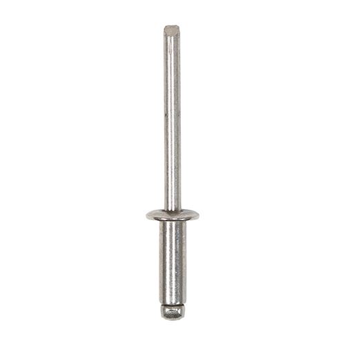 Timco Koepelkoprivetten, RVS A2, 4.8 x 14mm (250 stuks)