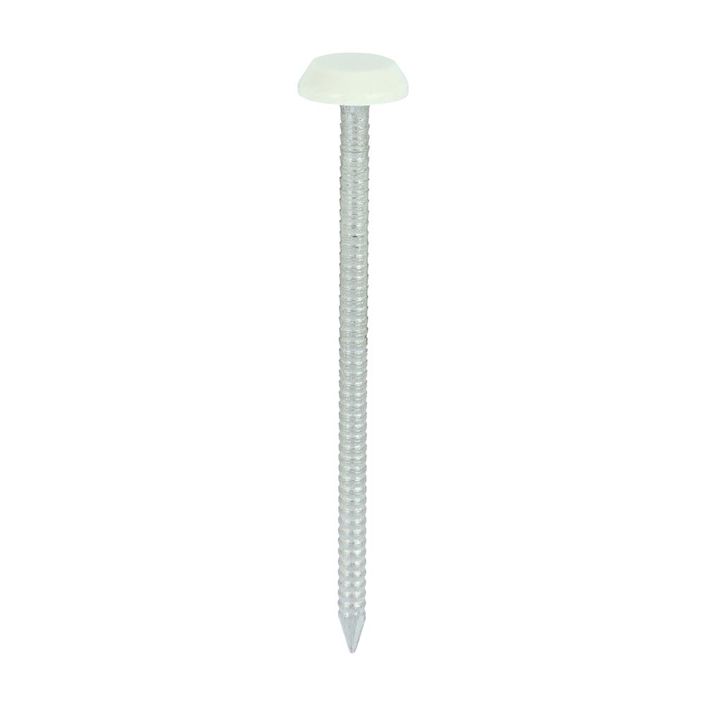 Timco Chiodi in Acciaio Inox A4 con Testa in Polimero, Colore Crema, 65mm (100p