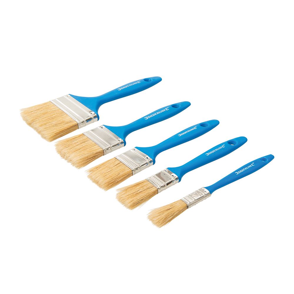 Silverline - Set Berus Cat Pakai Buang 5 Keping - 5pce