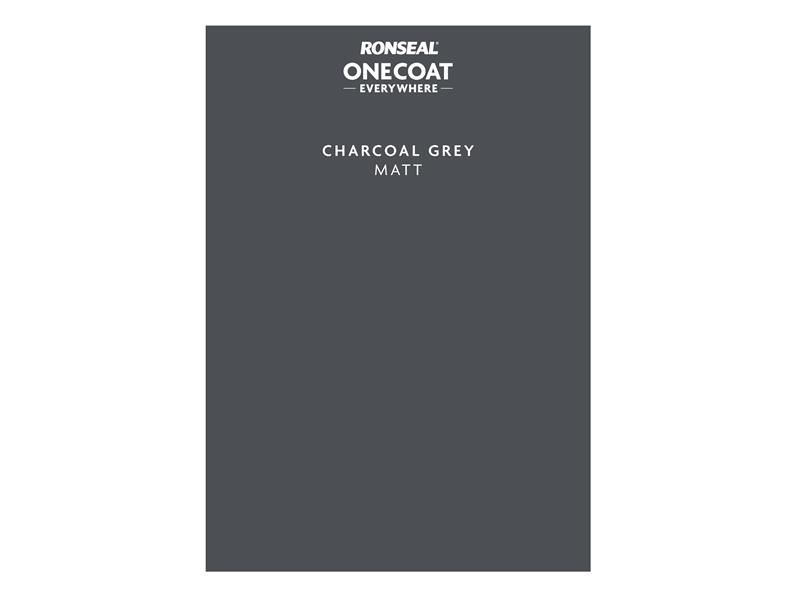 Ronseal 붙였다 떼는 페인트 스워치, 차콜 그레이