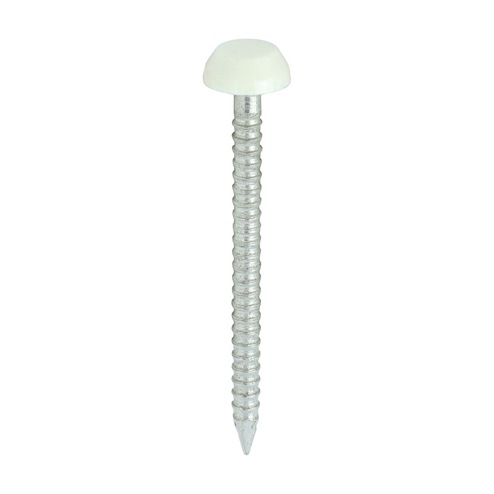 Timco סיכות פולימר עם ראש, נירוסטה A4, גוון שמנת, 30 מ״מ (חבילת 250)