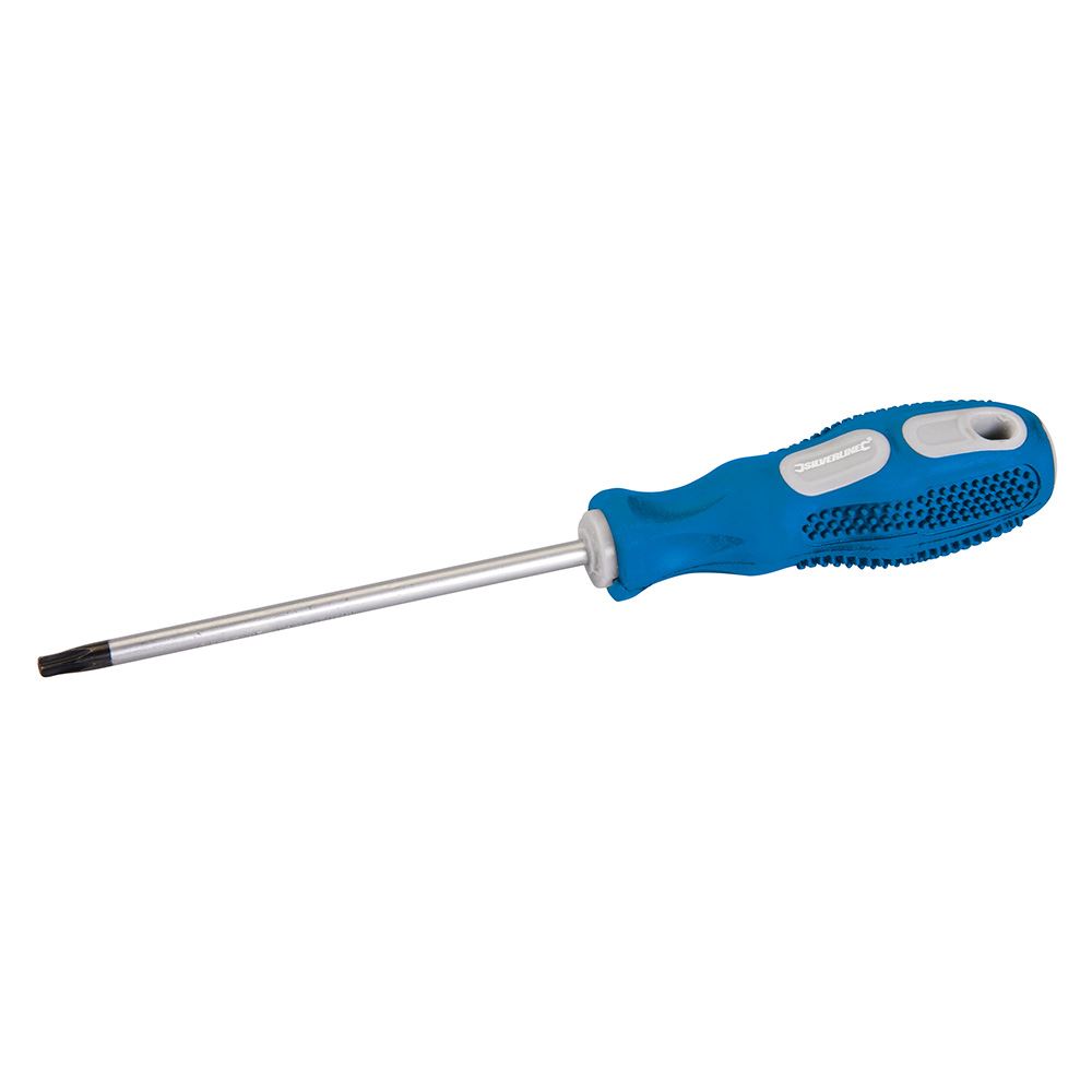 Silverline T25 x 100mm Cacciavite per Uso Generale