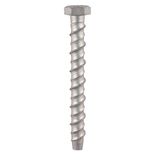 Timco Hex Masonry Bolts, Exterior Silver, 12.0 x 100mm (2 Pack)