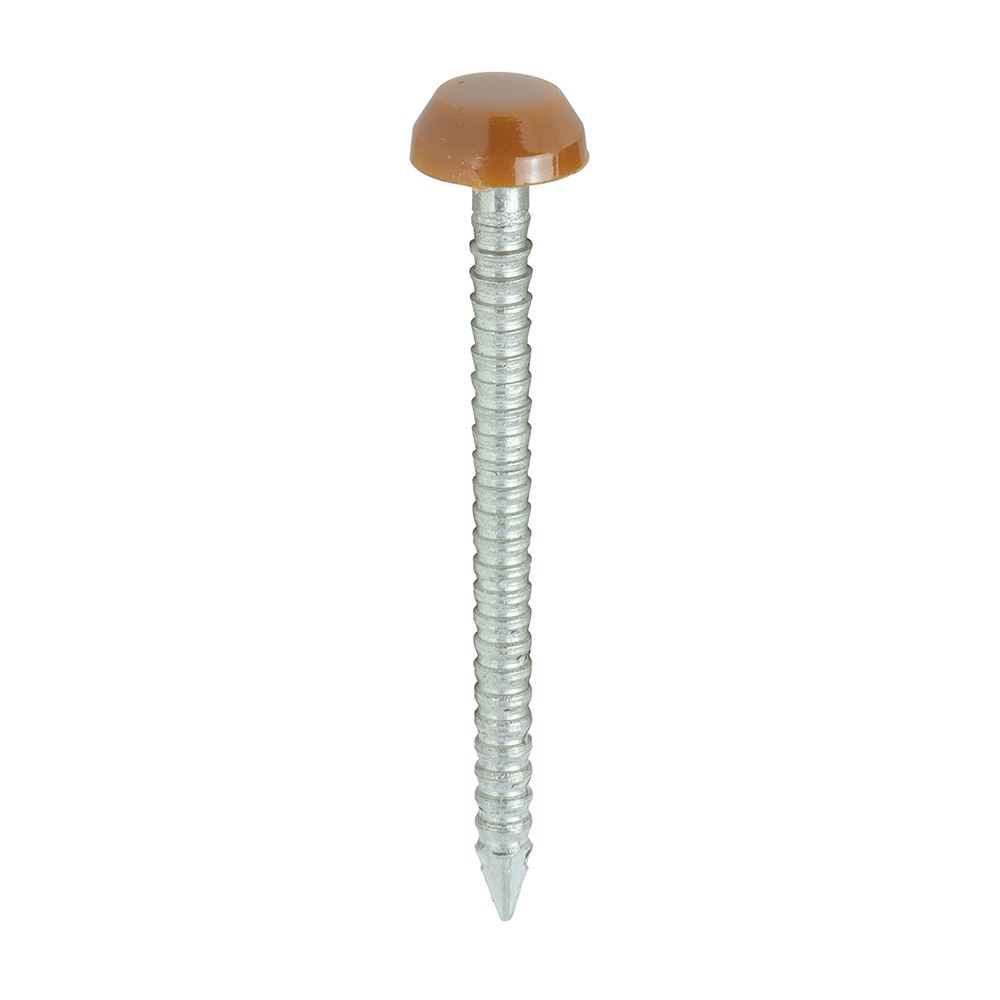 Timco Kleibruine Polymere Kopspijkers, RVS A4, 30mm (250 stuks)