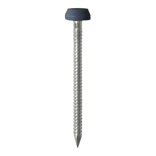 Timco Polymer Headed Pins, A4 Stainless Steel, Anthracite Grey, 40mm, 250pk