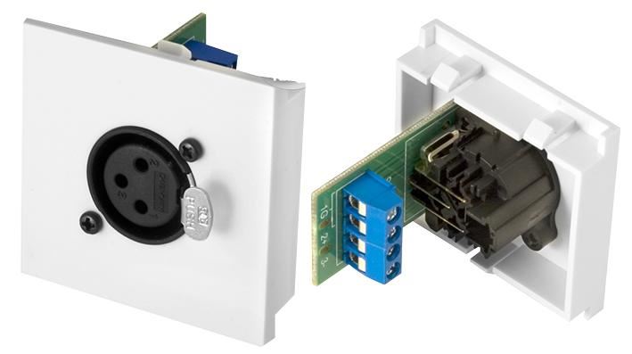 CLEVER LITTLE BOX Conec2 XLR 3-Pin Socket Snap-In Module - Screw Terminal