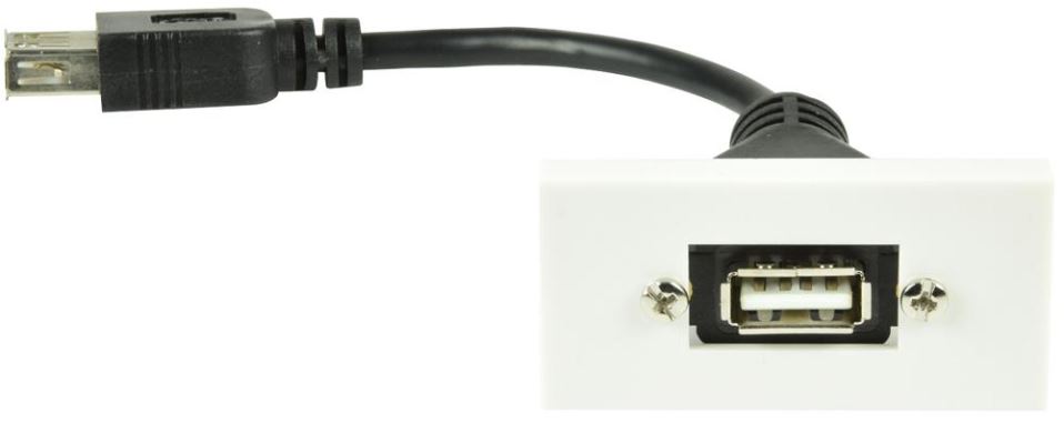 AV:LINK USB 2.0 A Wall Plate Module, 50x25mm