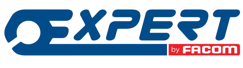 Expert