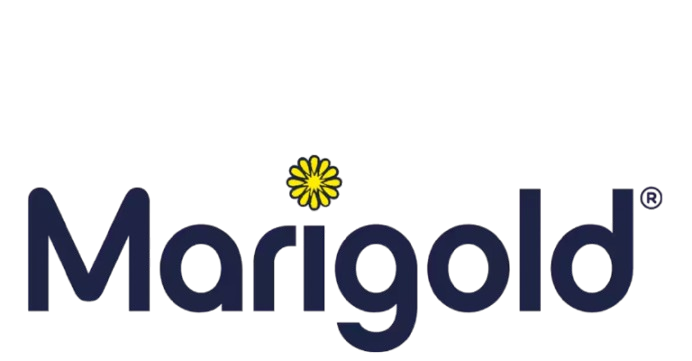 Marigold