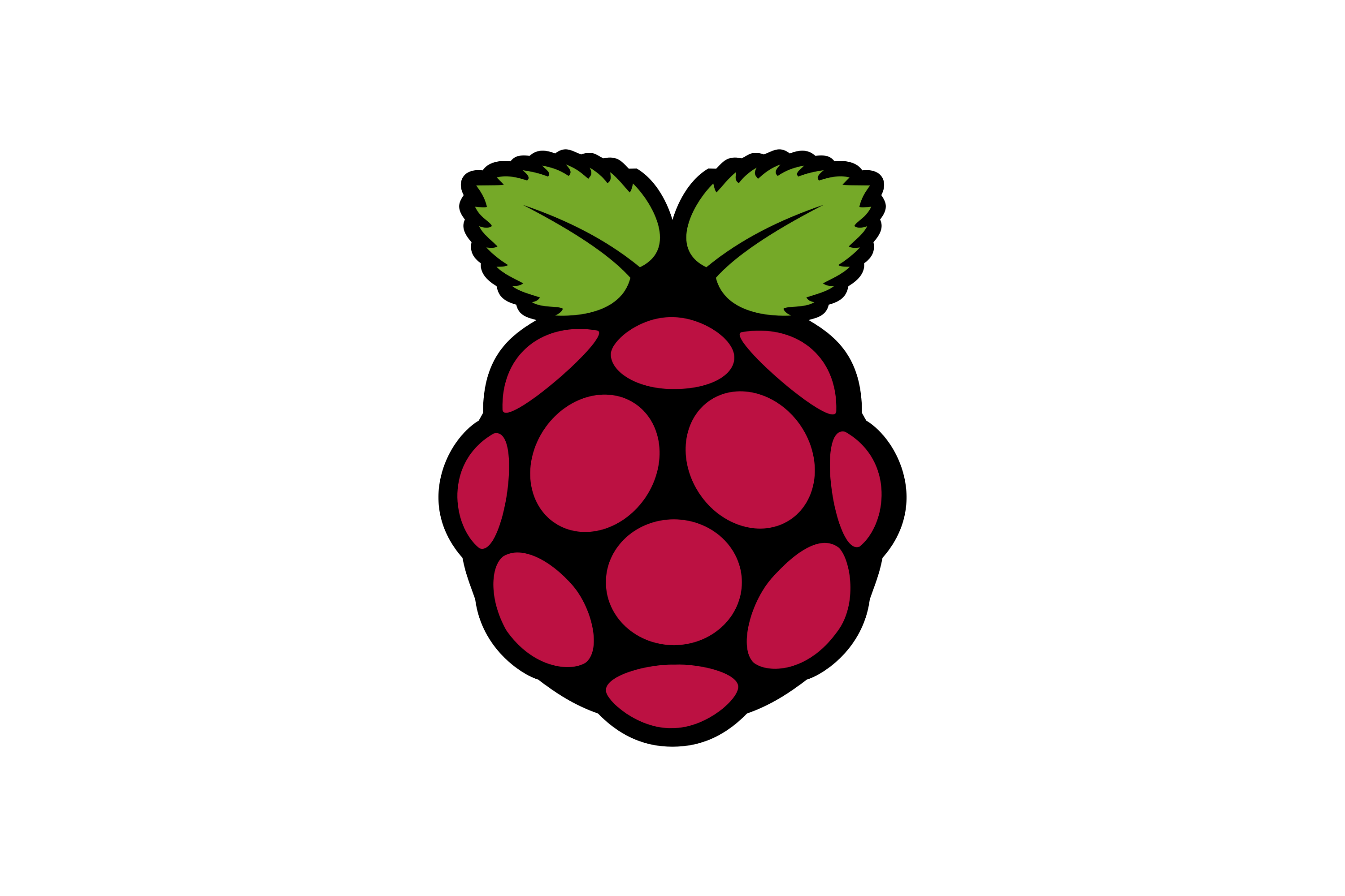 Raspberry-Pi